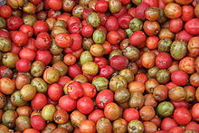 jamaica plum