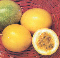 passion fruit