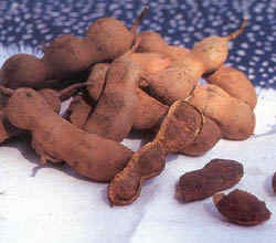 tamarind