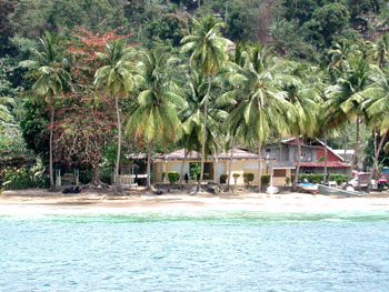 tobago castara bay