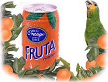 Fruta