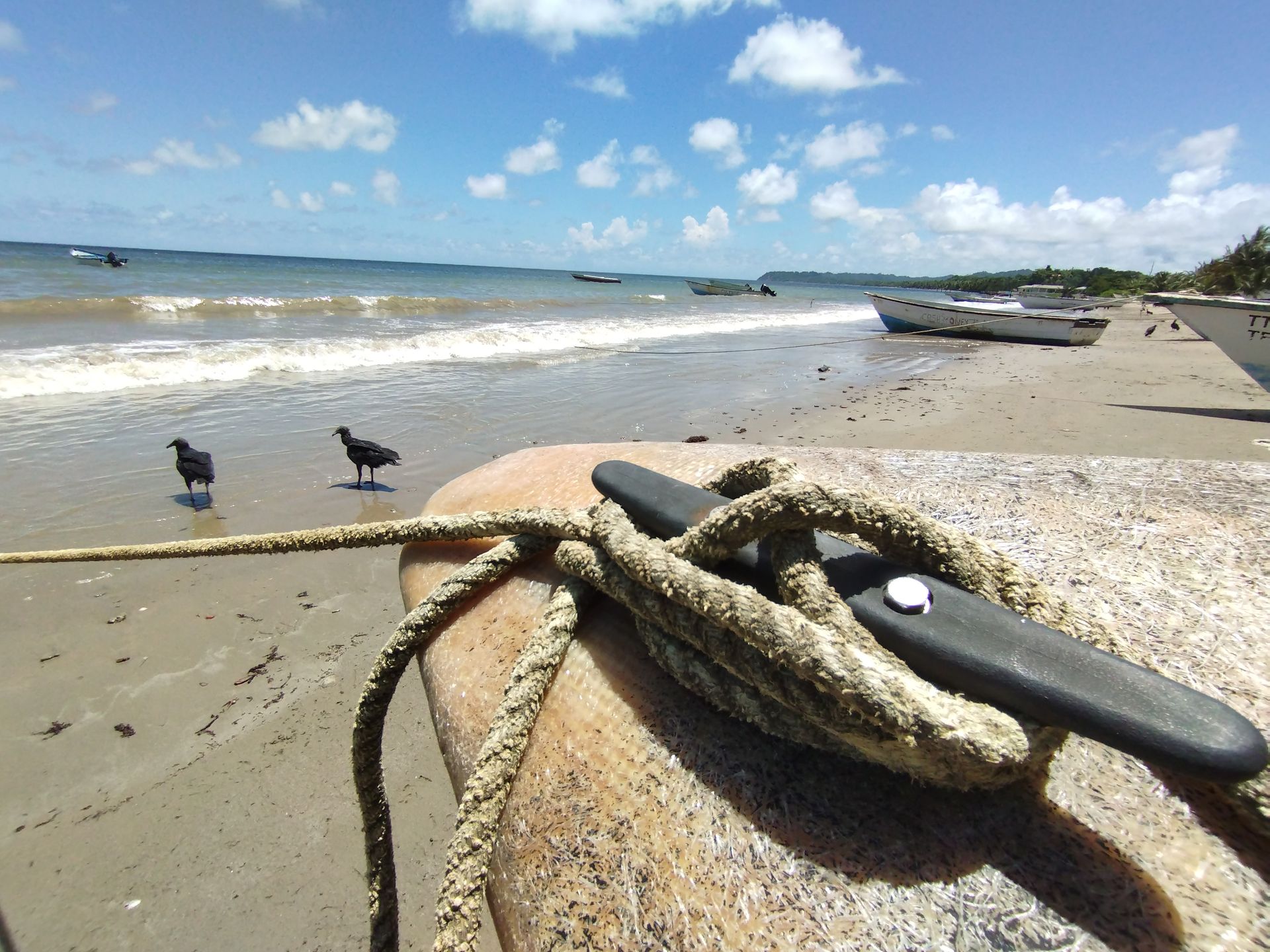 Guyaguayare Bay courtesy of Guardian Newspaper.
